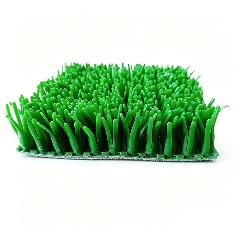 Thảm cỏ trải vàng