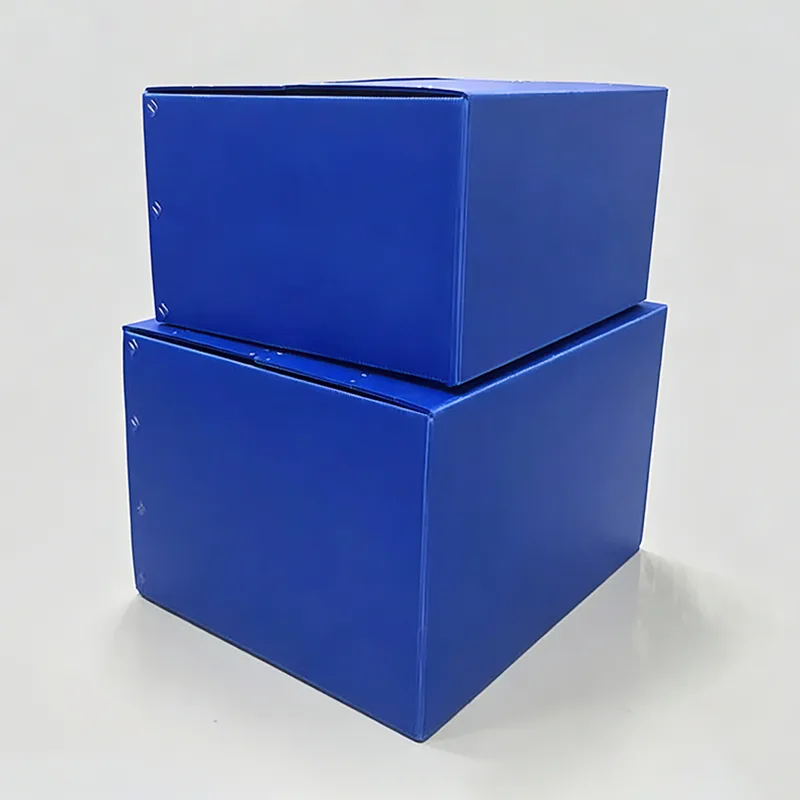 Hộp doanh thu tấm PP rỗng tiêu chuẩn